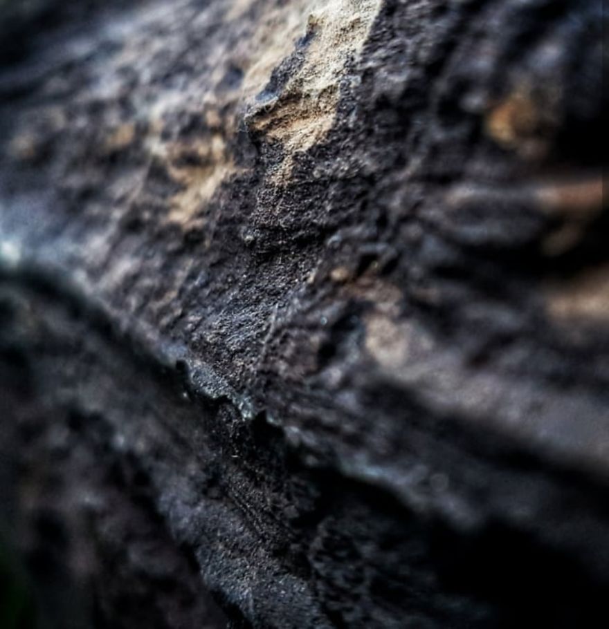 16 Pictures Of The Overlooked Beauty Around Us