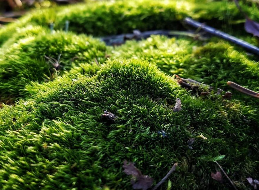 16 Pictures Of The Overlooked Beauty Around Us 16 Pictures Of The Overlooked Beauty Around Us