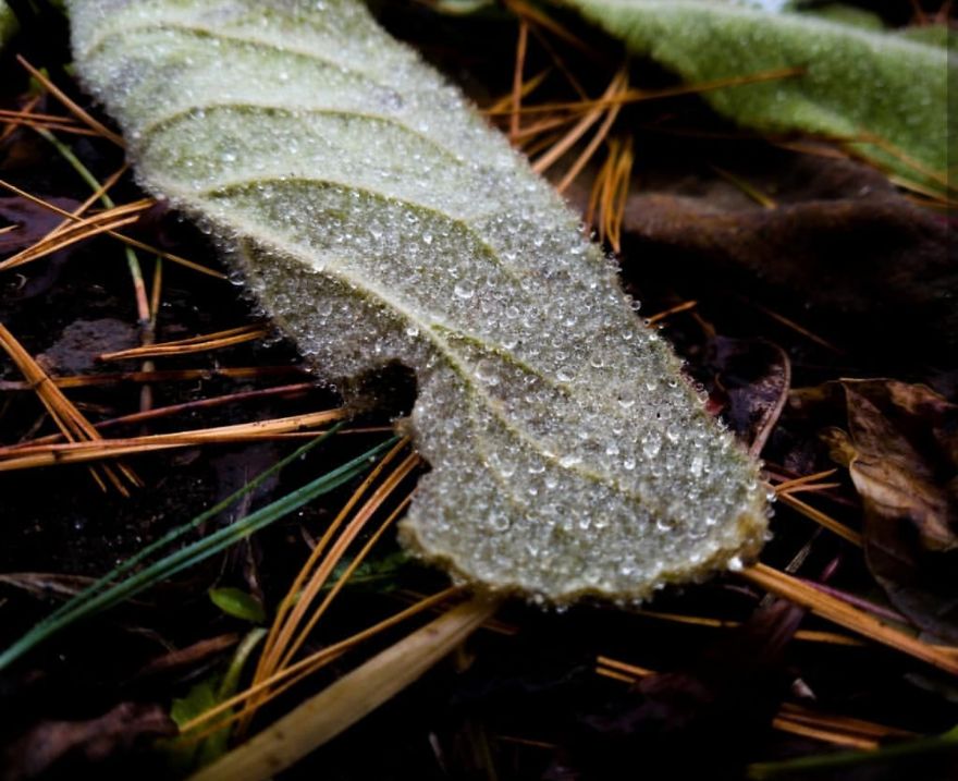 16 Pictures Of The Overlooked Beauty Around Us