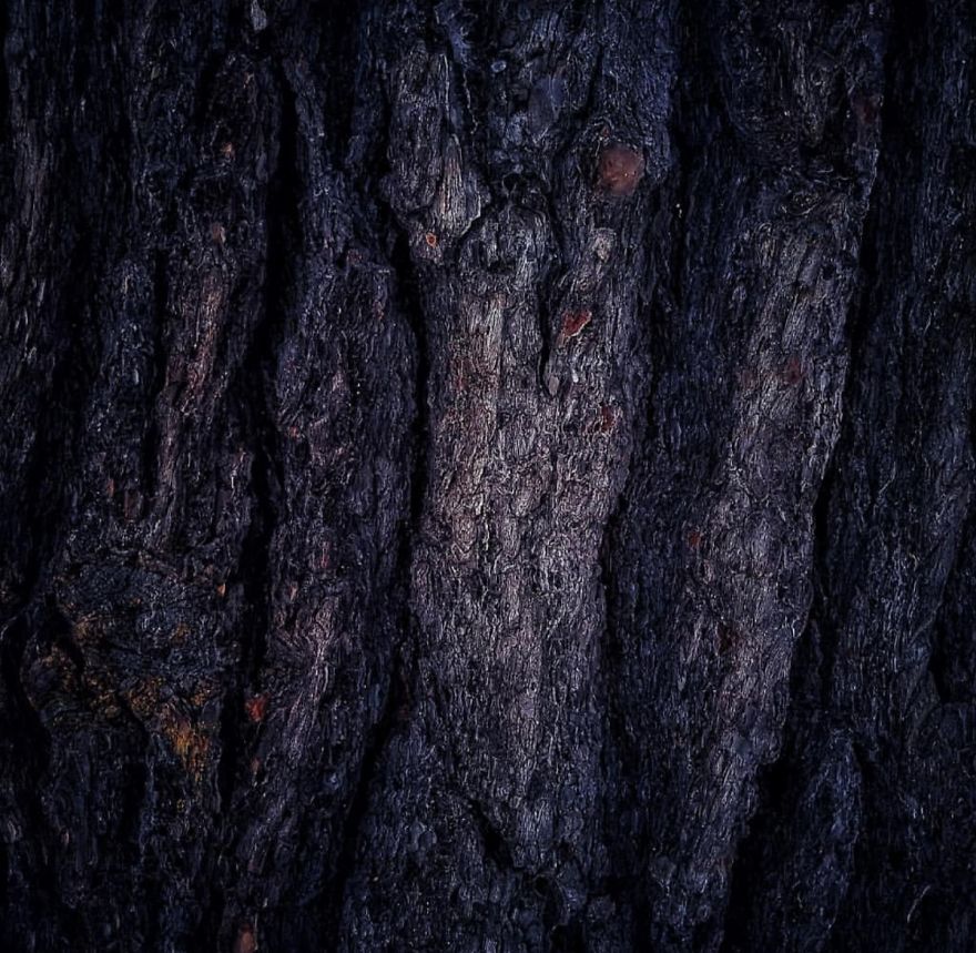 16 Pictures Of The Overlooked Beauty Around Us