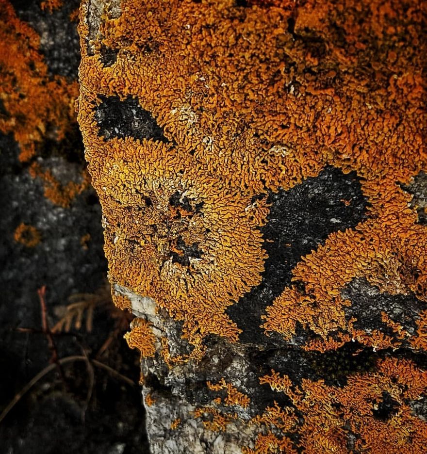 16 Pictures Of The Overlooked Beauty Around Us