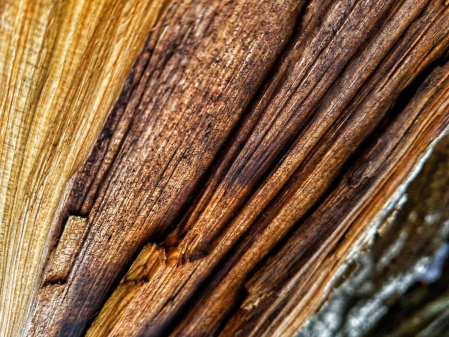 16 Pictures Of The Overlooked Beauty Around Us 16 Pictures Of The Overlooked Beauty Around Us