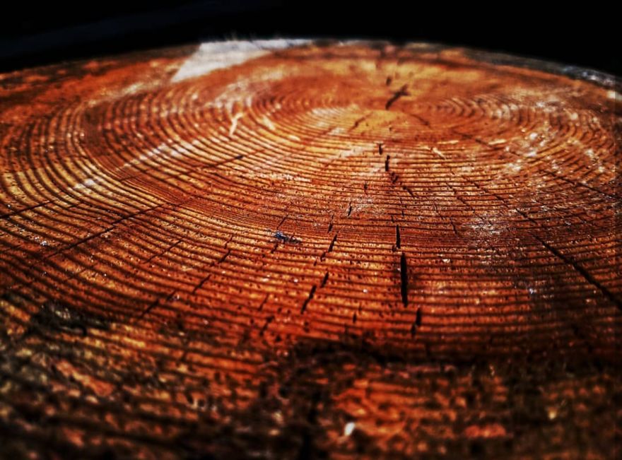 16 Pictures Of The Overlooked Beauty Around Us