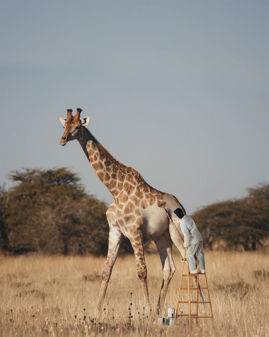 I'm A Turkish Guy Who Likes Graphic Design