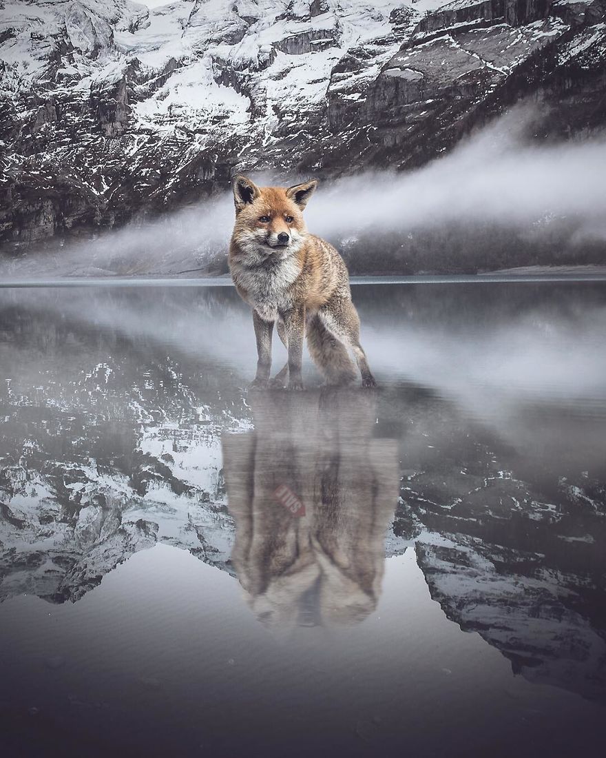 I'm A Turkish Guy Who Likes Graphic Design