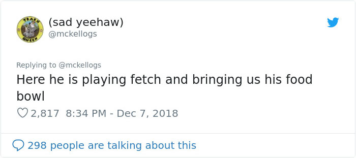 Meet Tango, The Stupidest Horse Ever Whose Stupidity Is Going Viral On Twitter