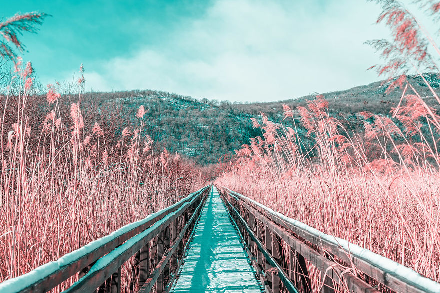 Italian Photographer Captures The World In Infrared And It Is The Best Thing You Would Ever See