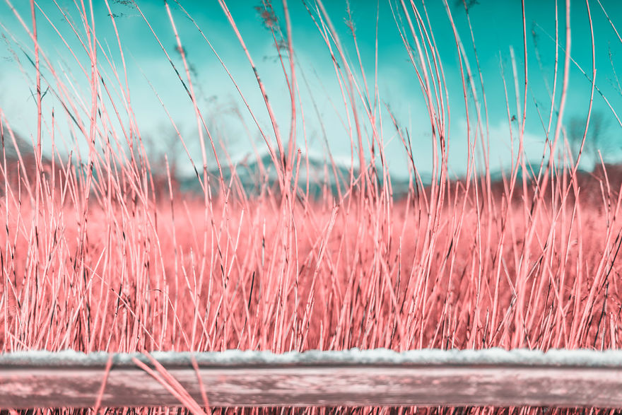Italian Photographer Captures The World In Infrared And It Is The Best Thing You Would Ever See
