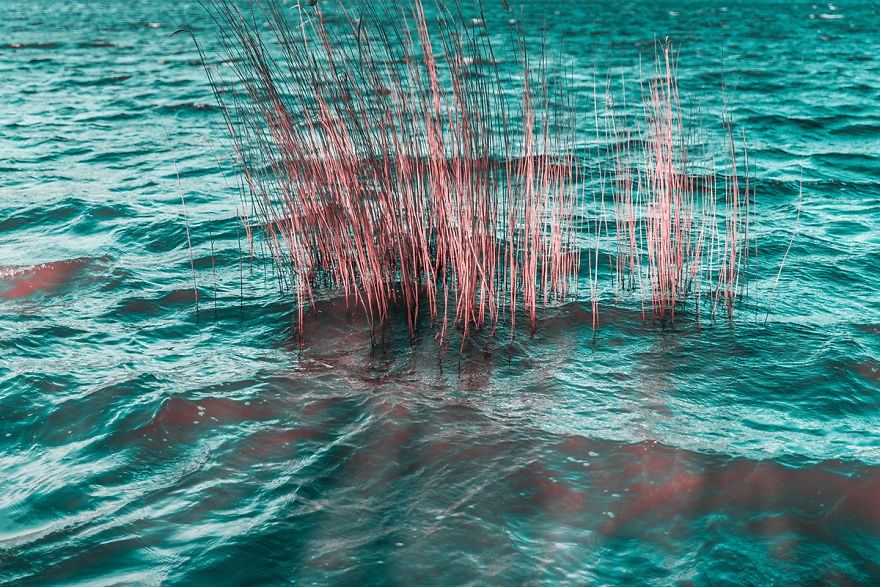 Italian Photographer Captures The World In Infrared And It Is The Best Thing You Would Ever See