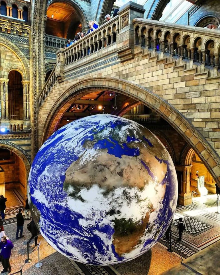 I Visited Natural History Museum In London And I Was Amazed