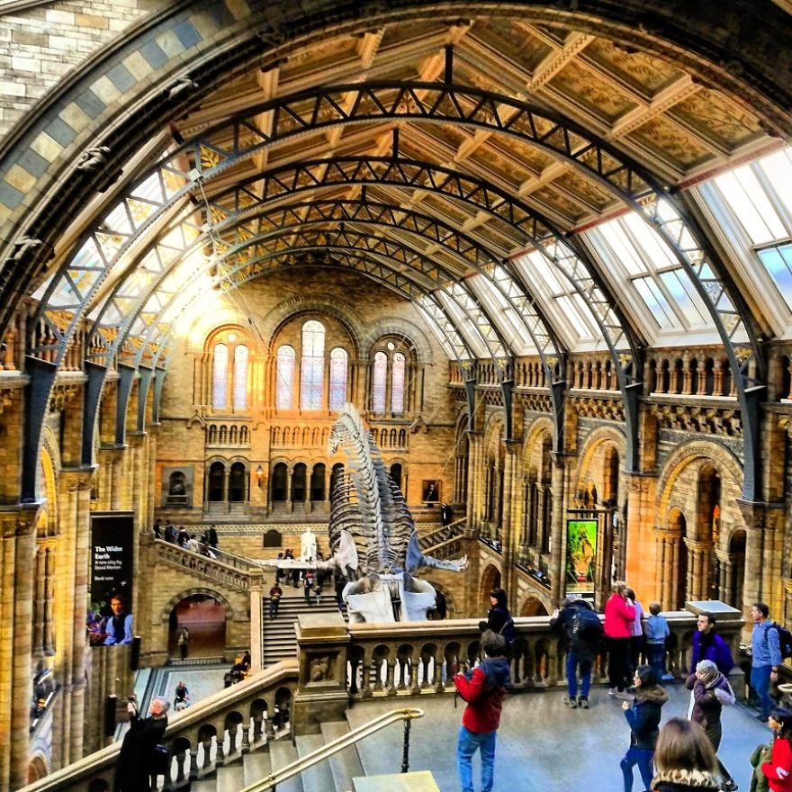 I Visited Natural History Museum In London And I Was Amazed