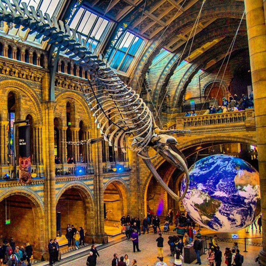 I Visited Natural History Museum In London And I Was Amazed
