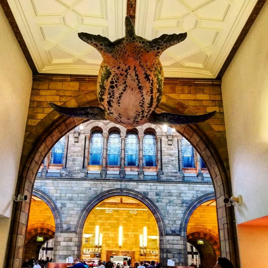 I Visited Natural History Museum In London And I Was Amazed