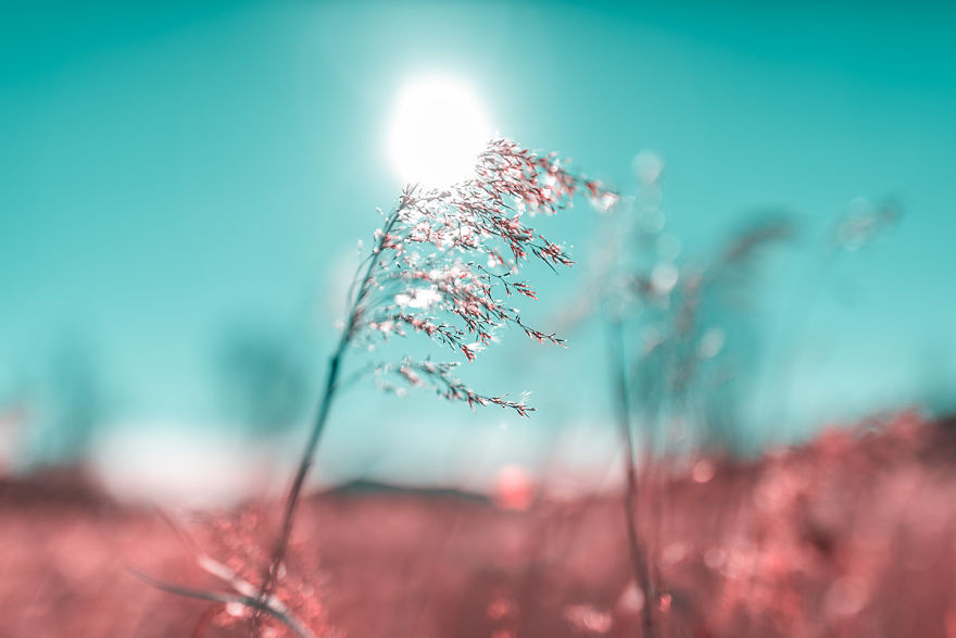 Italian Photographer Captures The World In Infrared And It Is The Best Thing You Would Ever See