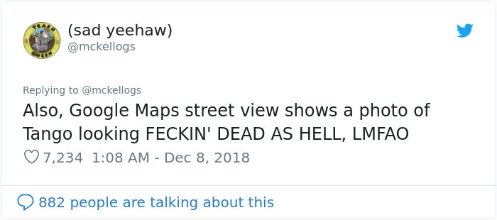 Meet Tango, The Stupidest Horse Ever Whose Stupidity Is Going Viral On Twitter