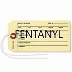 kathy_brighton avatar