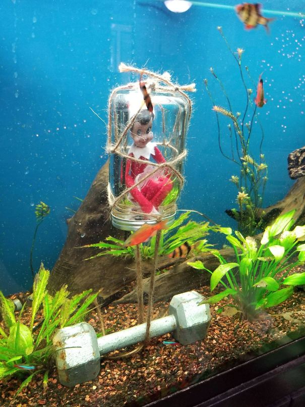 "Elf On The Shelf idea with the elf trapped in a jar submerged in a fish tank, weighted down with a dumbbell, surrounded by fish."