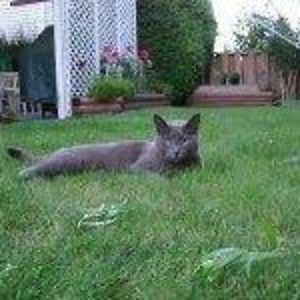 danderson4425 avatar