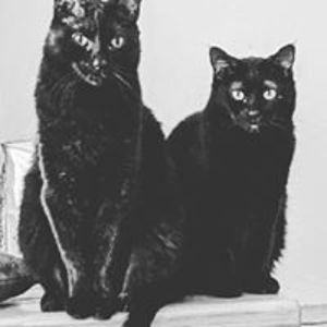 juliemjones65 avatar