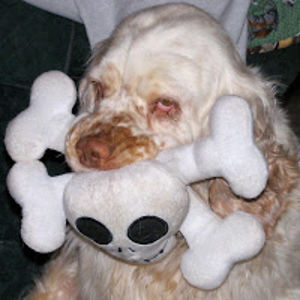 comedyclumbers avatar