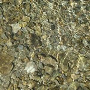 brown_newsome avatar