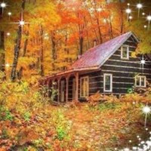 chickengirl55 avatar