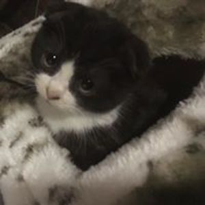 goldsackjenny avatar