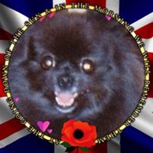 peachblossom558 avatar