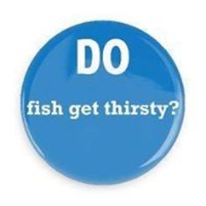 studentportal avatar