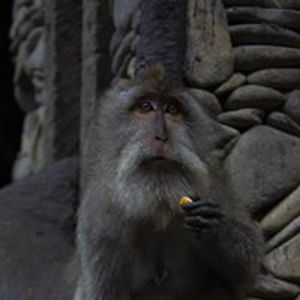 jameslahey624 avatar