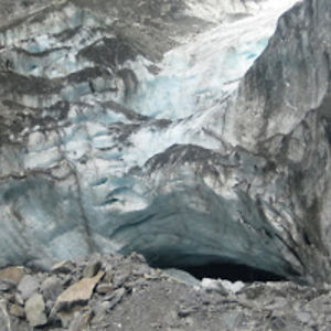 taylorhamilton avatar