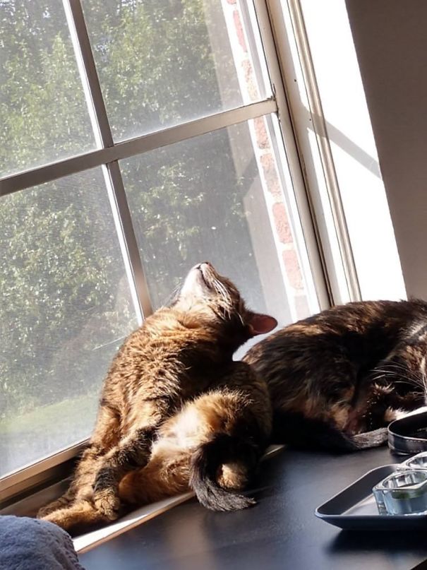 This Is How I Found Her Sleeping