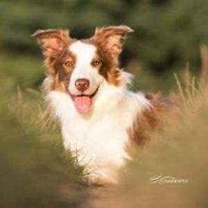 bert_mintiens avatar