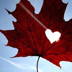 jill_saunders avatar