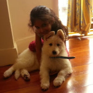 iksimmarsidhu avatar