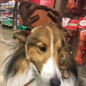 kbrucemactavish avatar