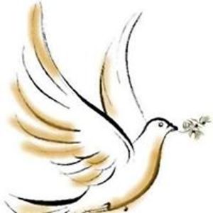 ariane_cacace avatar