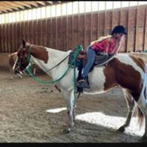 everli_tucker avatar