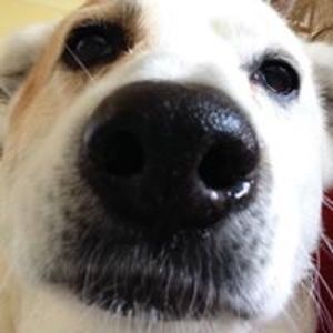 juliemilesceramics avatar