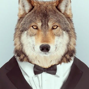 kacymartinhauk avatar