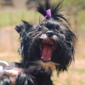 alexandra9774 avatar