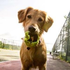 lynnparaskeva avatar