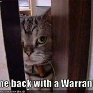 maggiegee3000 avatar