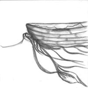 ladydieflowing avatar