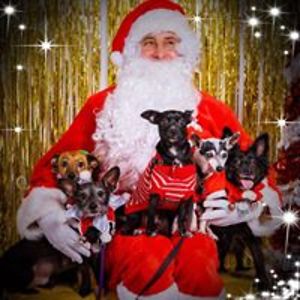 happygirl0219 avatar