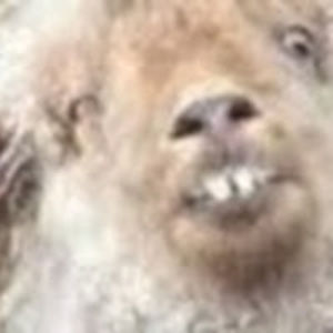 madeleinejones_1 avatar