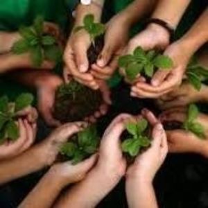 theearthmessenger avatar