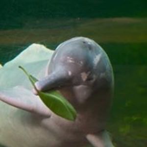 viivi_senghore avatar