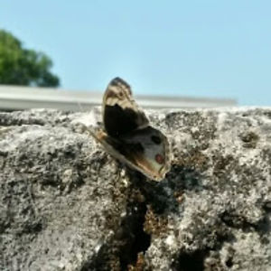 fathimathminya avatar