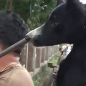 victoriadonnacharlotte avatar